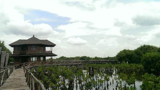 Alam Angke Kapuk Nature Park